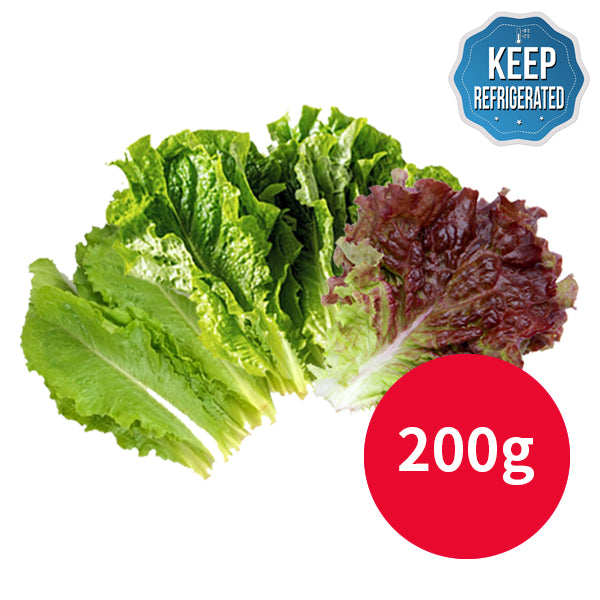 Ssam / Salad Set (Assorted Lettuce: Green, Red, and Romaine) 200g - (Cleansed with Mineral Water)