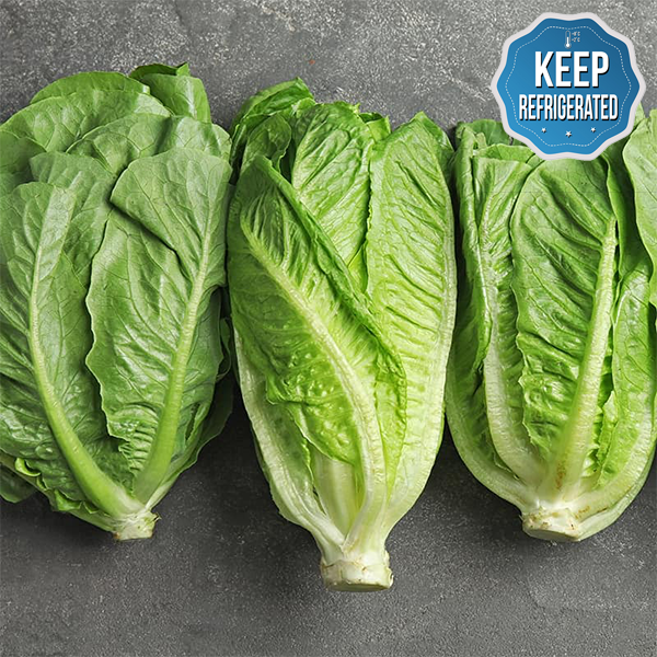 Sijang Choice Fresh Romaine Lettuce 150g (Cleansed with Mineral Water)